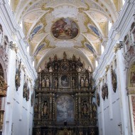 Reštarátorské práce - Trnava katedrála (1)